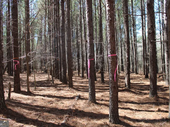 0 Jackson Gin Rd, Harrison, GA 31035