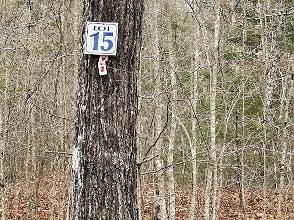 15 Mission Rd, Hayesville, NC 28904