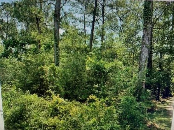 Lots 1 &2 Hwy #190, Lacombe, LA 70445