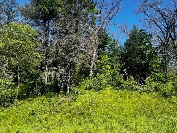 PARCEL 1 N M 37, Irons, MI 49644