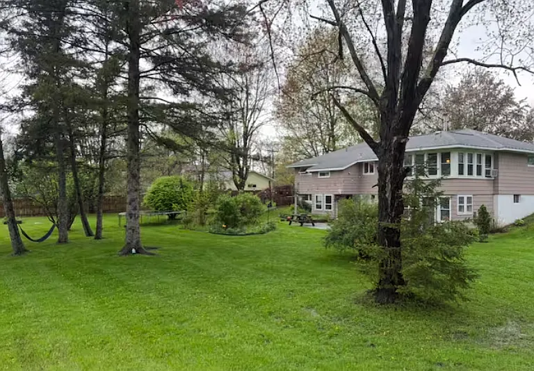 Beautiful, expansive backyard with mature trees and plenty of space for outdoor living.