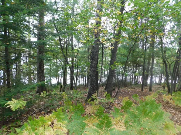LOT 46 Ross Rd, Tomahawk, WI 54487