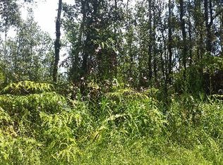 14-3493 Church Rd, Pahoa, HI 96778