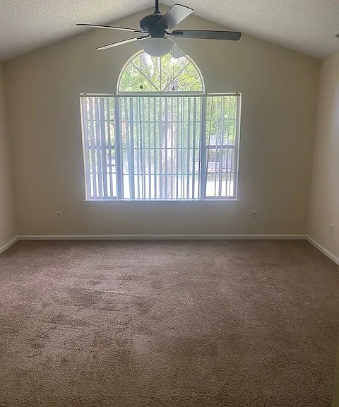 3512 Sassafrass Trl — Photo 12
