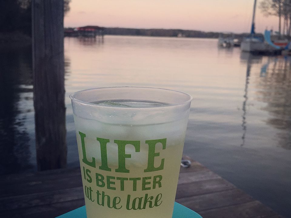 LAKE LIFE