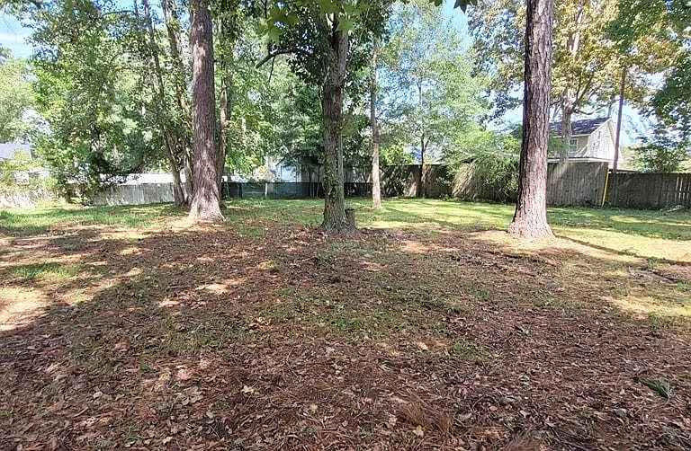 Huge backyard