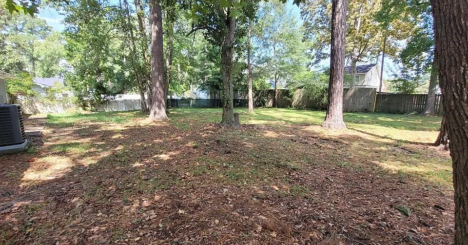Huge backyard - 1270 Harbour Towne Dr