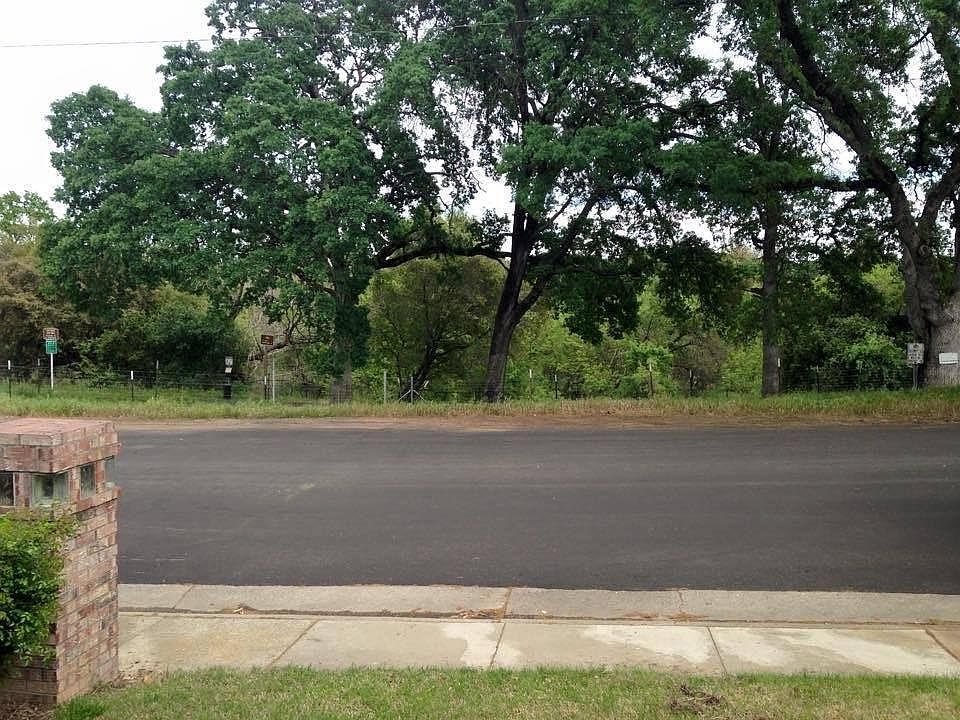 view from front window and front yard