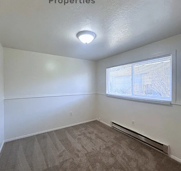 Poole 547 — Photo 16