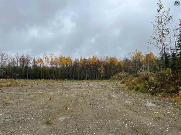 Nhn Crocus Way, Delta Junction, AK 99737