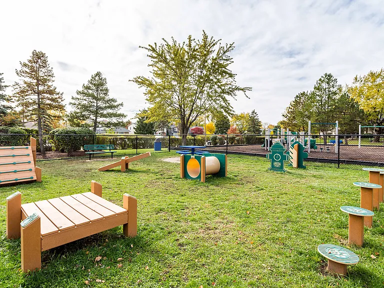 Bark Park