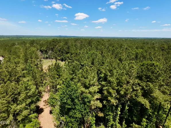 472 Saint Johns Rd, Braxton, MS 39044