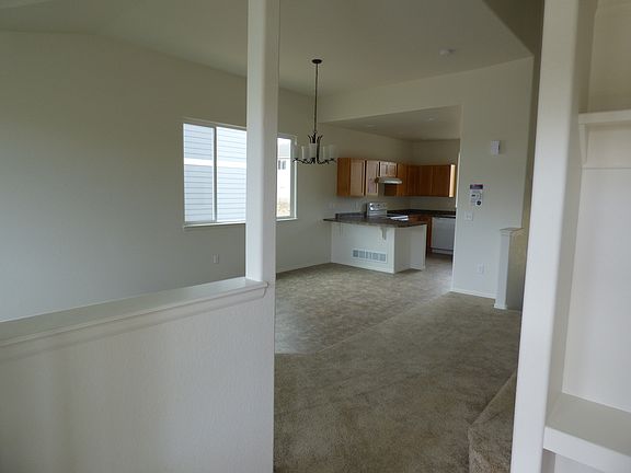 3rd image of 3435 Petrel Dr