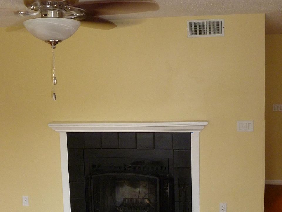 wood burning fireplace