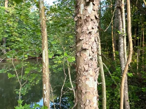 LOT 6 Cherokee Plz, Centre, AL 35960