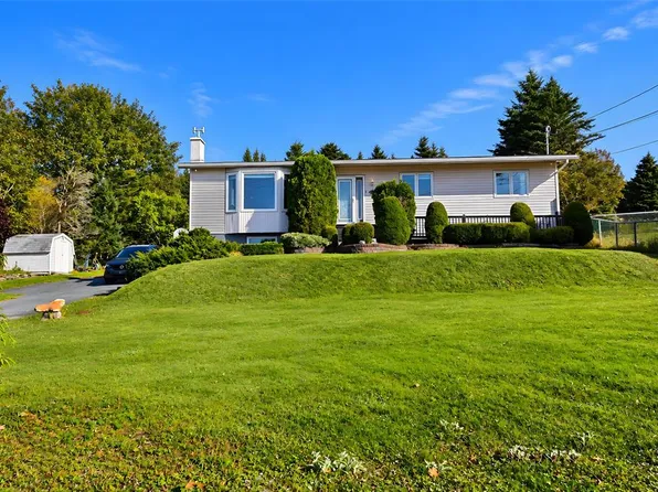 51 Old Petty Harbour Road, St. John's, NL A1G1H6