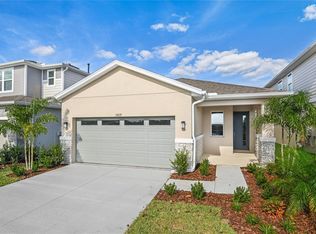 5929 Jensen View Ave, Apollo Beach, FL 33572