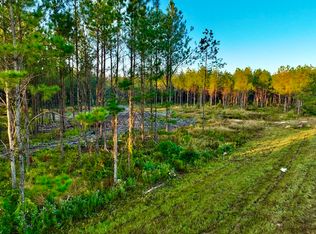 Highway 44 LOT WP003, Columbia, MS 39429