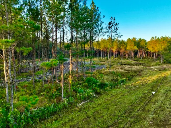 Highway 44 Lot Wp003, Columbia, MS 39429