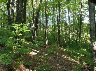 W 14th Rd, Mesick, MI 49668