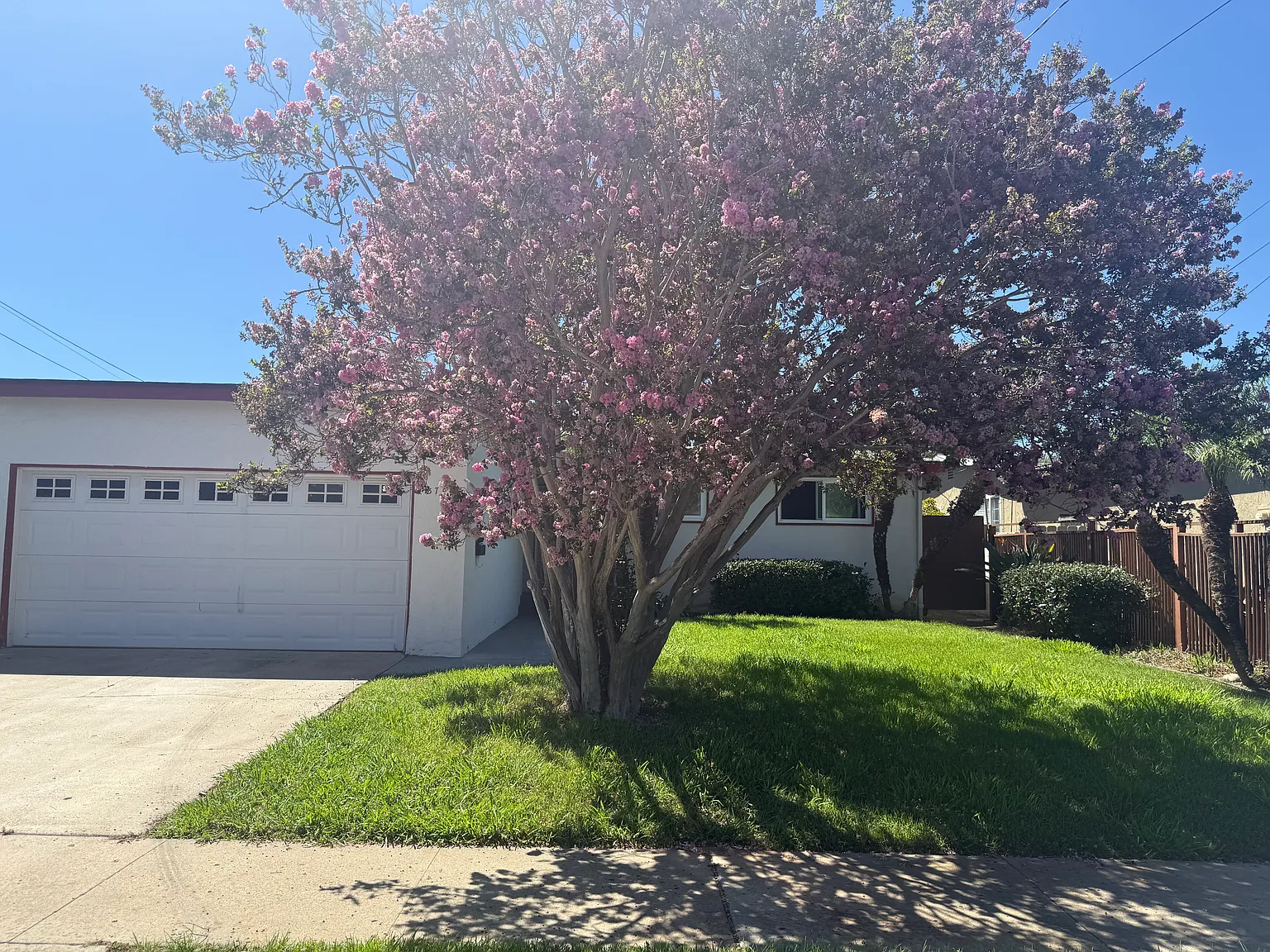 3780 Belford St — Photo 1