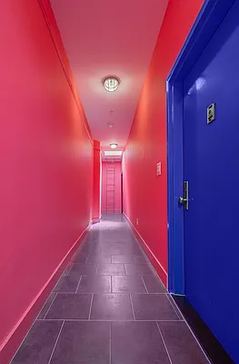 Rented by Douglas Elliman | media 25