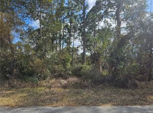 241 Phantasy Ave, Lake Placid, FL 33852
