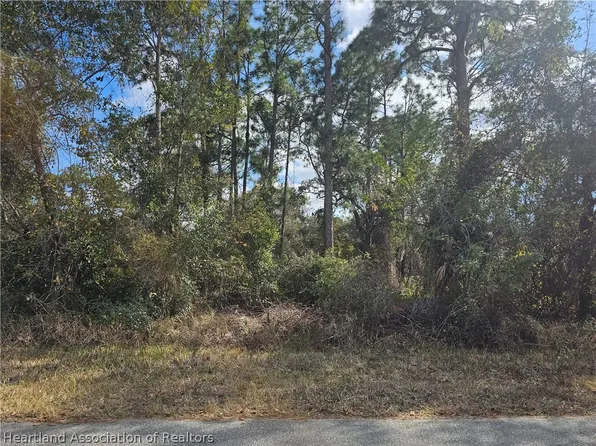 241 Phantasy Ave, Lake Placid, FL 33852