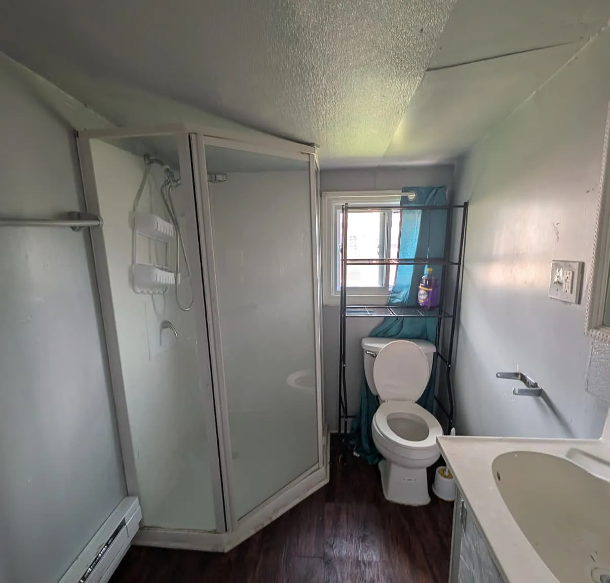 2 bed, 900 sqft, $1,200 — Photo 3