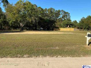120 Danny Dr, Marion, SC 29571