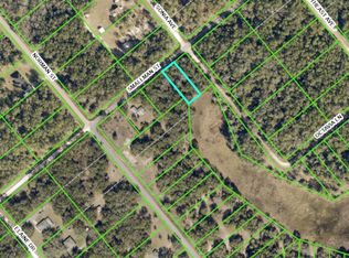 LOT 16 Smallman St LOT 16, Webster, FL 33597