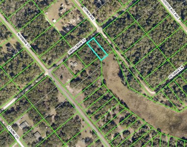 LOT 16 Smallman St LOT 16, Webster, FL, 33597