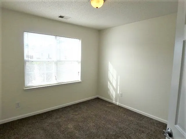 1168 Amber Pines Dr — Photo 10