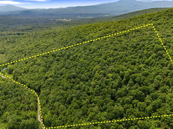 281 Tree Farm Road, Eden, VT 05652-0000
