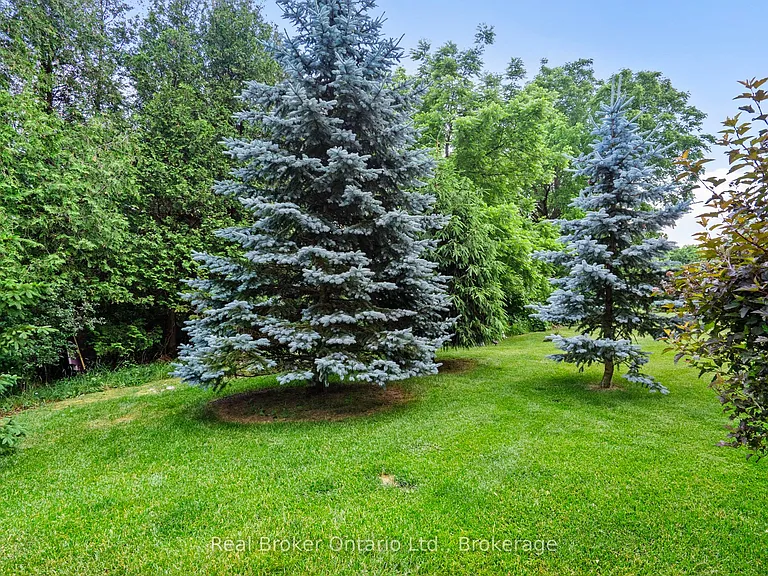 221 Millview Ct — Photo 44