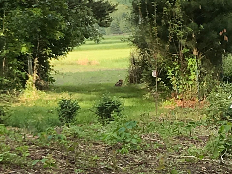 1st image of 2710 148th Ln NE