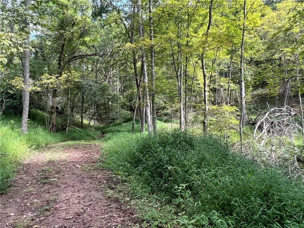 0 Providence Rd, Elizabeth, WV 26143