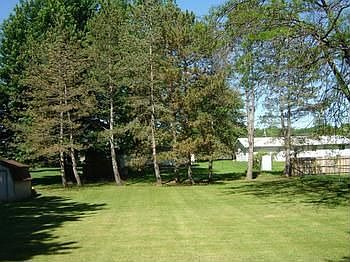 br Another view of the back-yard.