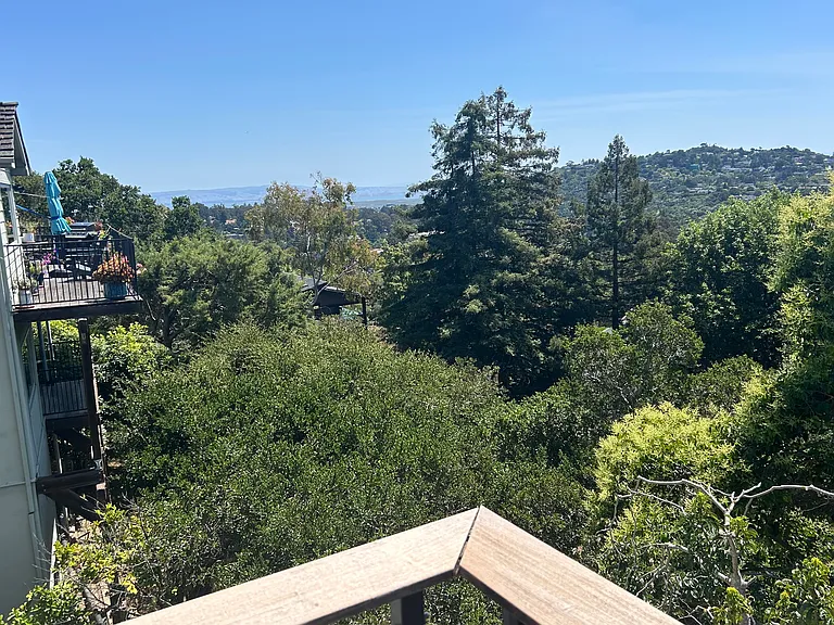 2425 Coronet Blvd — Photo 4