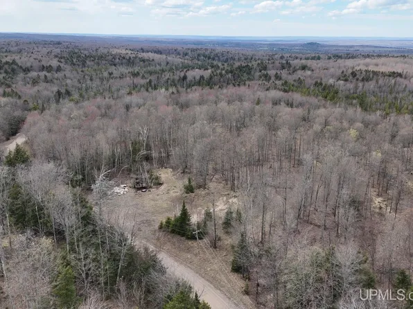 Tbdne Dogpatch Rd, Lanse, MI 49946