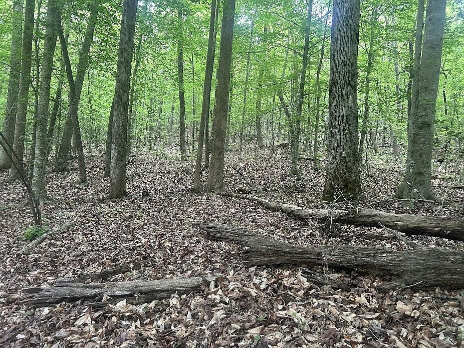 1st image of 236 Riversong