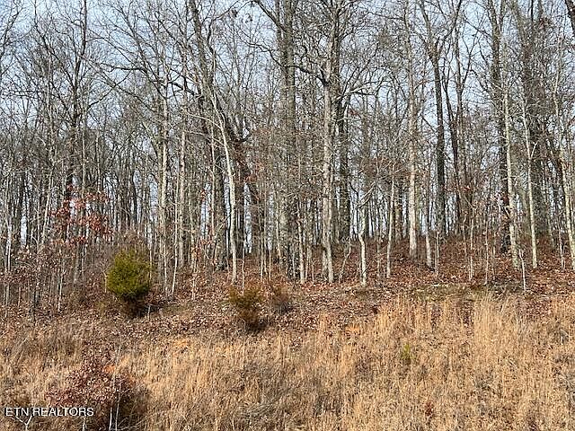 1st image of 519 Grande Vista Dr