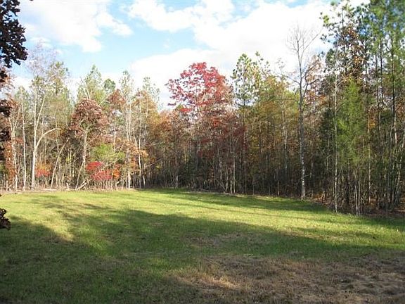 Cleared area to see lay of the land.