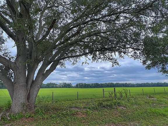 3rd image of 00 SW County Road 313