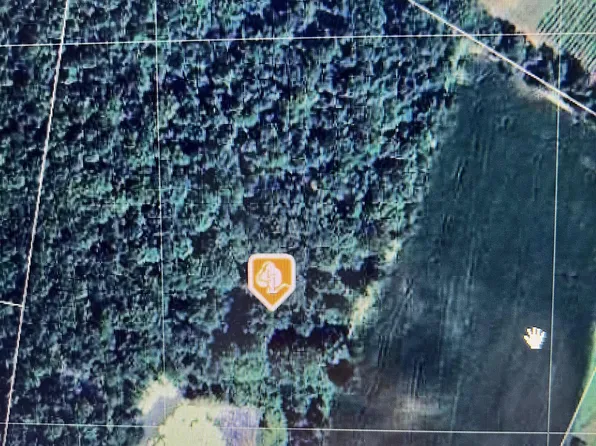 8607 Marye Rd, Partlow, VA 22534