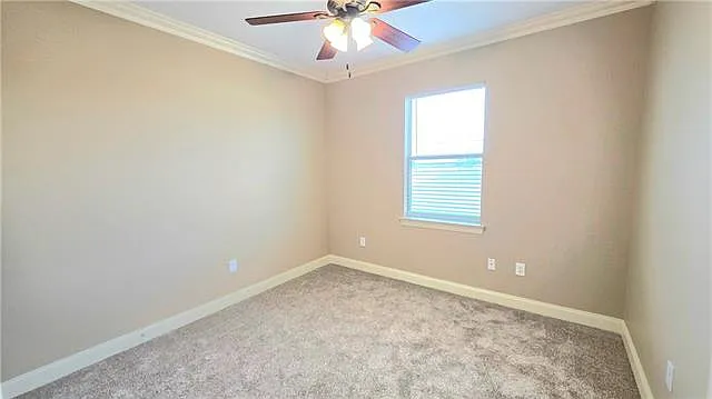 112 Kimble St #C — Photo 11