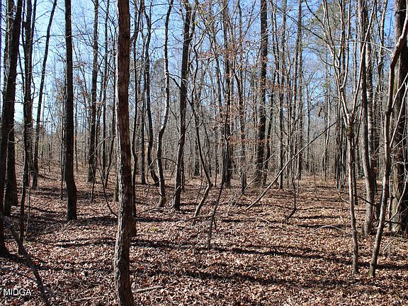 5th image of 0 State Highway 341 N