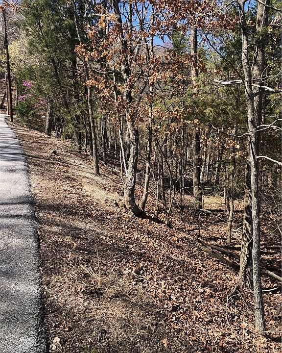 1st image of LOT 83 Dogwood Dr