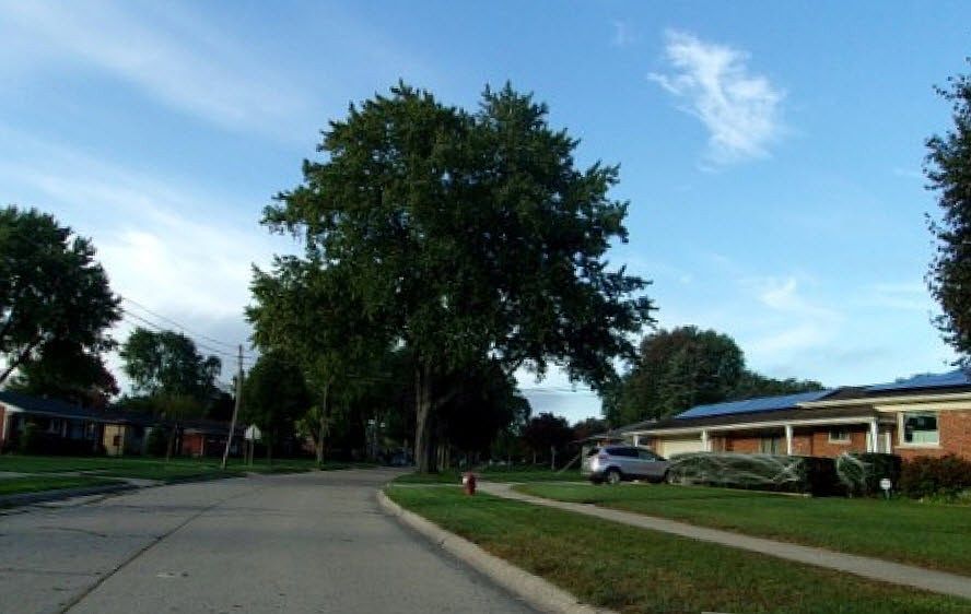 2nd image of 9126 Birkhill Dr