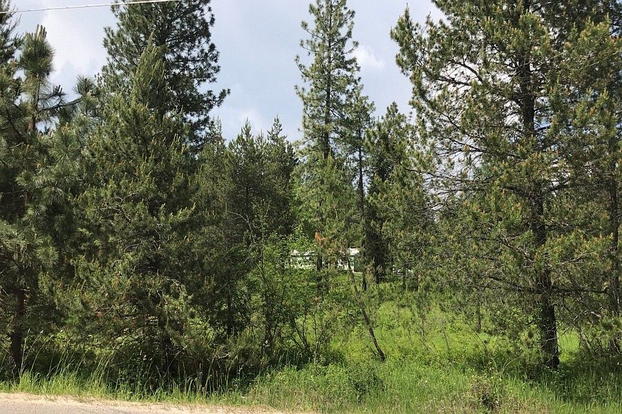 2nd image of 266 Gun Club Rd